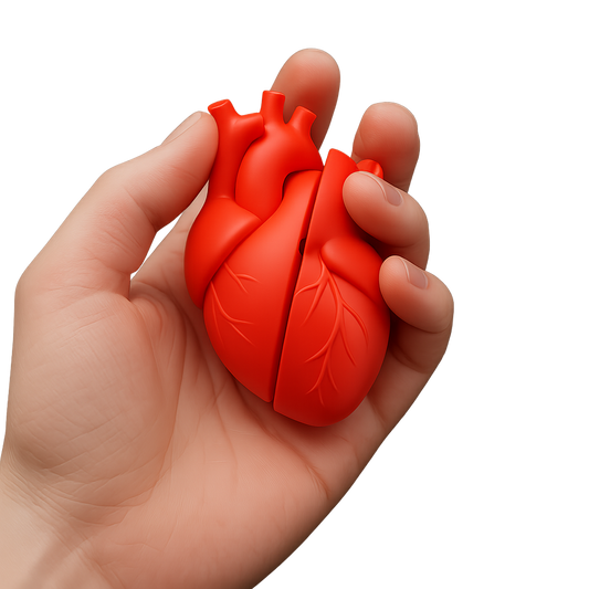 CardioClick Anatomical Heart Fidget Clicker